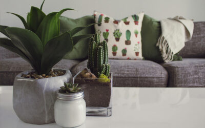 Blog – Zo bedenk je een duurzaam interieur