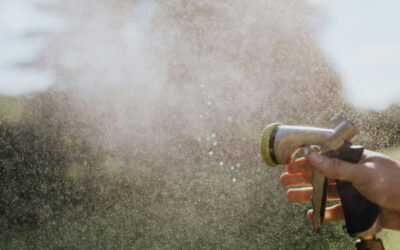 Blog – Duurzaam tuinieren: milieuvriendelijke waterpompen die elke tuinier kan gebruiken