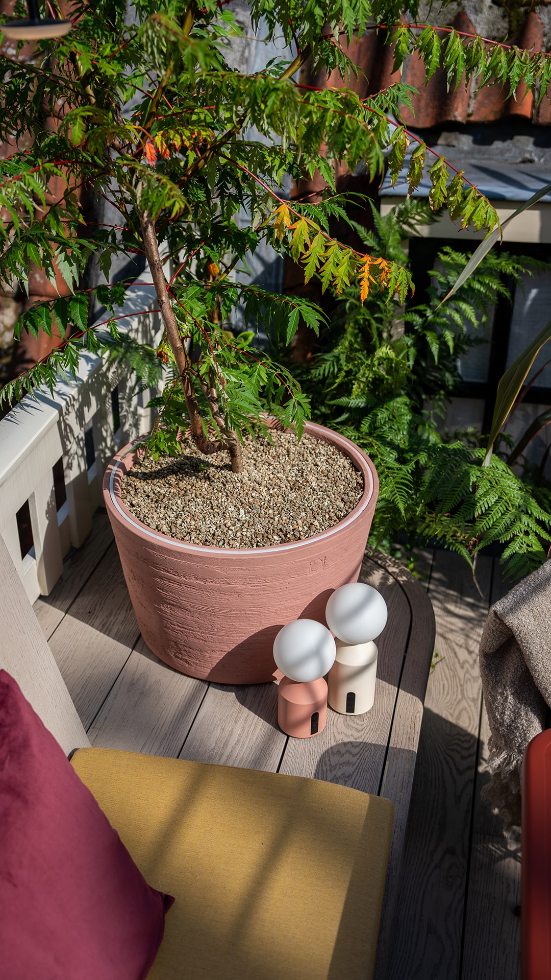 Dakterras