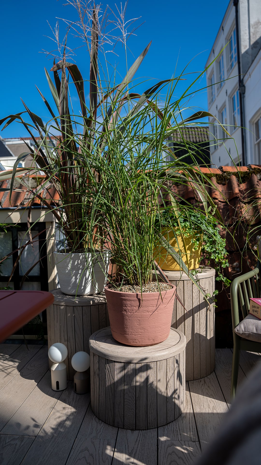 Dakterras