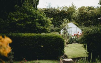 Blog – Een tuinpoort kiezen: waar moet je op letten voor een veilig en mooi resultaat?