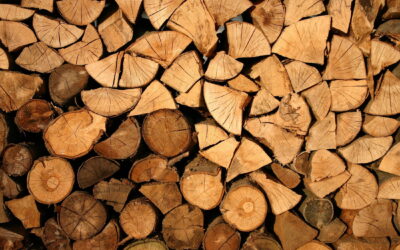 Blog – Thermisch gemodificeerd hout: duurzaam bouwen in en om je huis