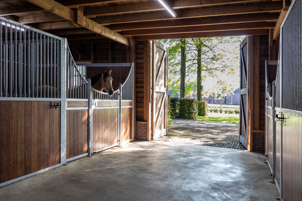 paardenstal
