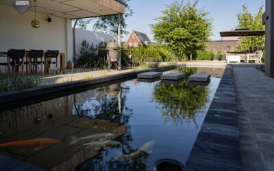 Vijverbouw Nederland | Een zwemvijver in Kouwenberg