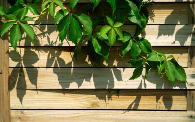 Blog – Een houten schutting die je tuin direct meer klasse geeft