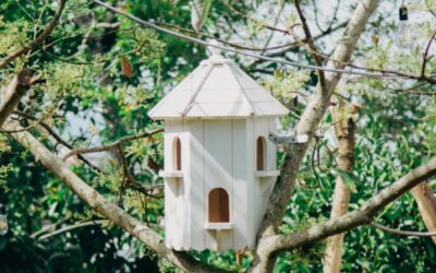 Blog – Vogelhuisjes als stijlvol detail in je tuin