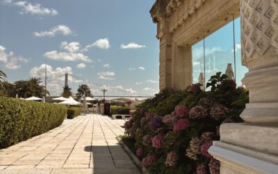 Blog – De tuin als verlengstuk van de architectuur