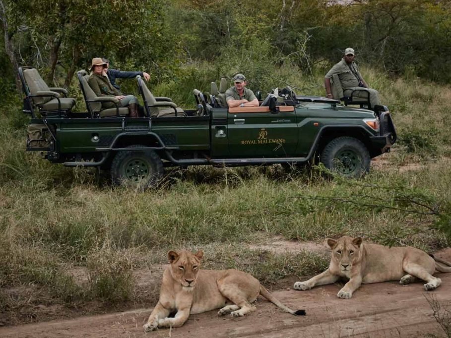 luxe safari