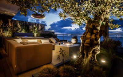 Garden Vision