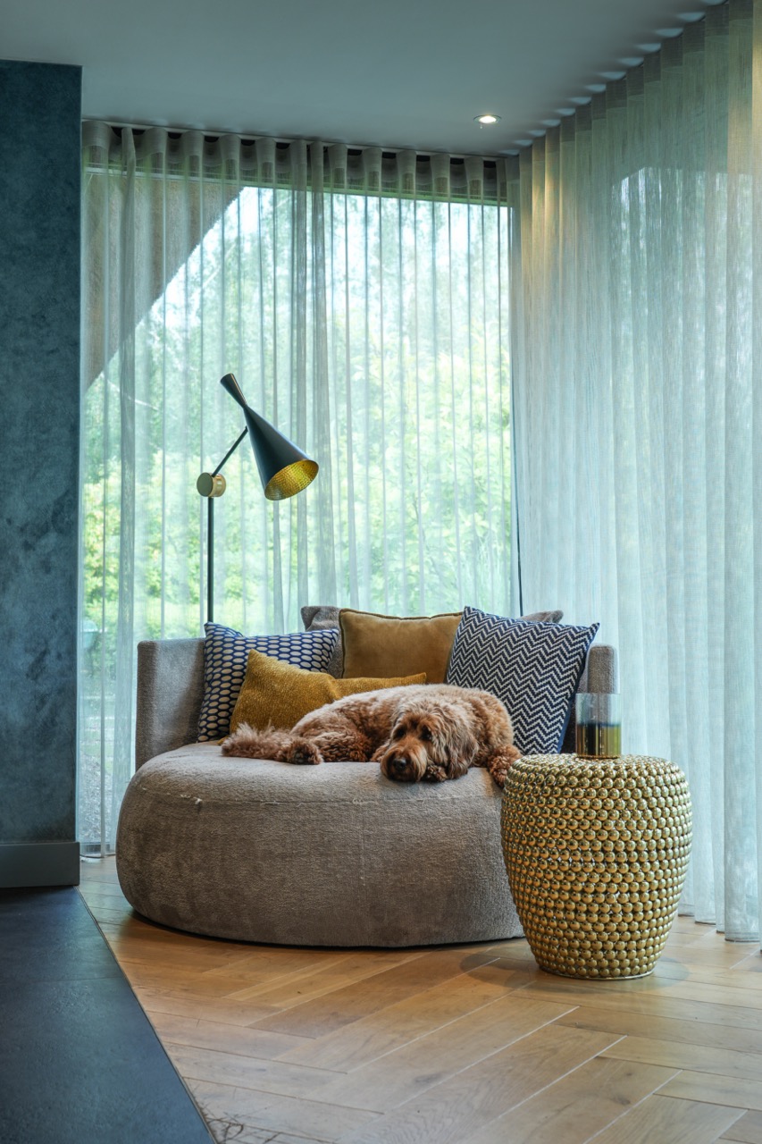 luxe Stoel voor de hond