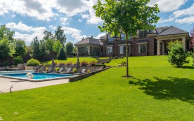 Blog – De basis voor een exclusieve tuin begint bij een perfect gazon